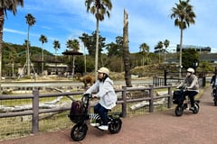 glafitの「WANDERIDE®」、アドベンチャーワールドで「移動の負担」を「エンタメ」に変える